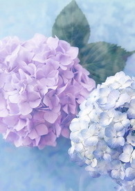 简少爷追简夫人