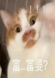 公交车怎么下站